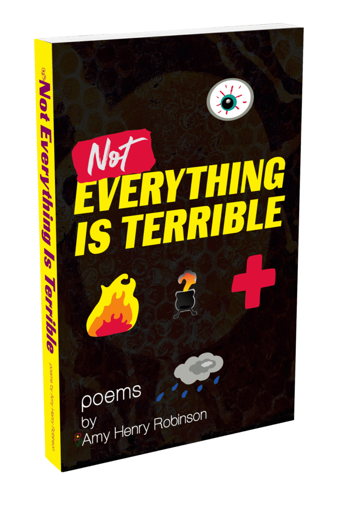 A collection book of poetry by Amy Henry Robinson titled Not Everything Is Terrible.